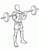 bicep curls 2