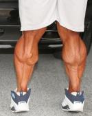 big calves