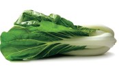 bok choy 3